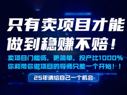 只有卖项目才能做到稳挣不赔，门槛低，更简单，你也可以年入百个W【揭秘】网创-网赚-电商-tk-出海-AI-抖音-快手-小红书-视频号-玩法-创业-小程序-公众号-私域-s粉网创智库