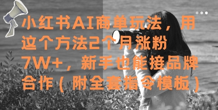 小红书AI商单玩法，用这个方法2个月涨粉7W+，新手也能接品牌合作(附全套指令模板)网创-网赚-电商-tk-出海-AI-抖音-快手-小红书-视频号-玩法-创业-小程序-公众号-私域-s粉网创智库