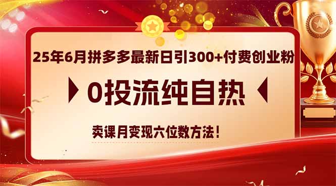25年6月拼多多最新日引300+付费创业粉，0投流纯自热 卖课月变现六位数方法网创-网赚-电商-tk-出海-AI-抖音-快手-小红书-视频号-玩法-创业-小程序-公众号-私域-s粉网创智库