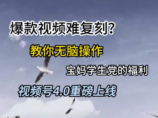 视频号4.0重磅上线，爆款视频难复刻？教你无脑操作宝妈学生党的福利【揭秘】网创-网赚-电商-tk-出海-AI-抖音-快手-小红书-视频号-玩法-创业-小程序-公众号-私域-s粉网创智库