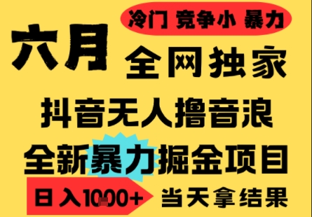25年6月高爆抖音无人直播最新撸音浪掘金项目，小白可做，无脑日入1k+，门槛低可批量矩阵【揭秘】网创-网赚-电商-tk-出海-AI-抖音-快手-小红书-视频号-玩法-创业-小程序-公众号-私域-s粉网创智库