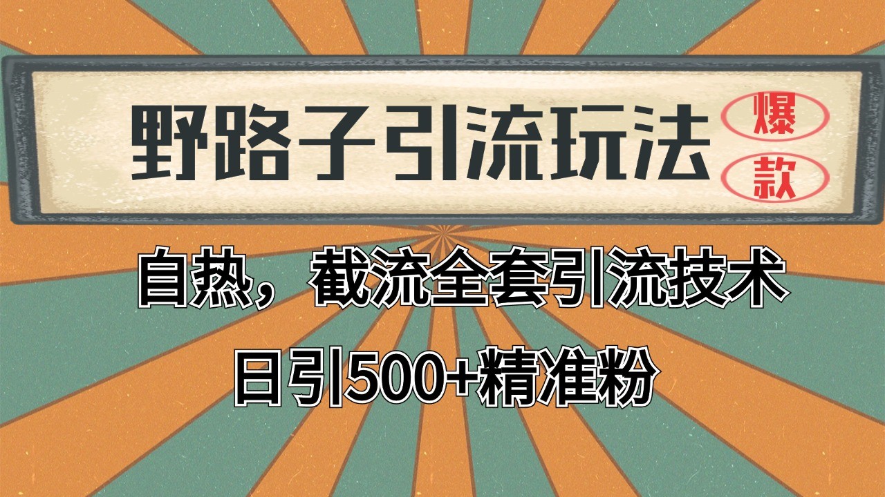2024首发野路子引流玩法截流自热全平台打法,全自动引流【日引2000+精准客户】 - 网创智库网创-网赚-电商-tk-出海-AI-抖音-快手-小红书-视频号-玩法-创业-小程序-公众号-私域-s粉网创智库