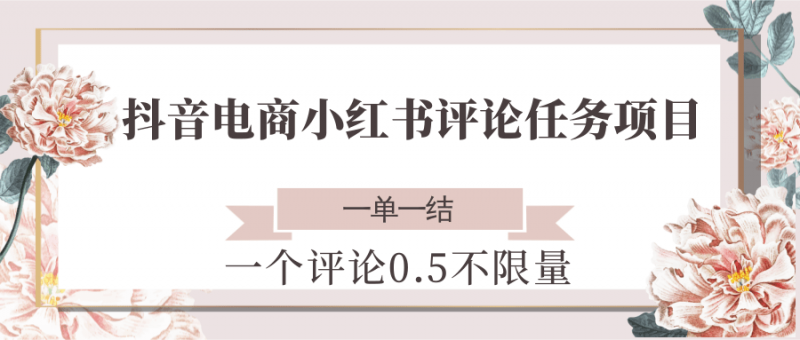 抖音电商小红书评论任务项目，一个评论0.5，一单一结 不限量网创-网赚-电商-tk-出海-AI-抖音-快手-小红书-视频号-玩法-创业-小程序-公众号-私域-s粉网创智库