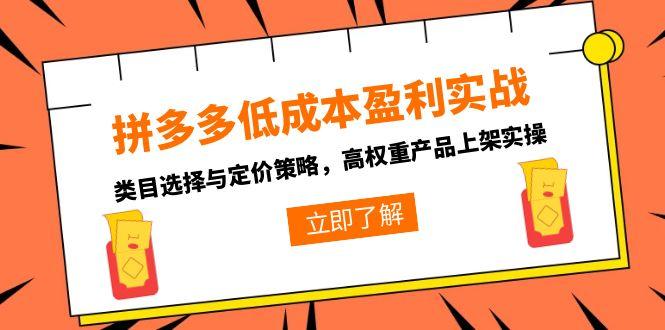 拼多多低成本盈利实战，类目选择与定价策略，高权重产品上架实操网创-网赚-电商-tk-出海-AI-抖音-快手-小红书-视频号-玩法-创业-小程序-公众号-私域-s粉网创智库