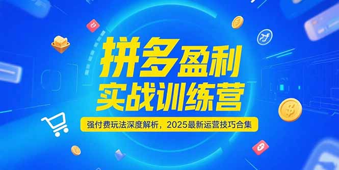 拼多多盈利实战训练营，强付费玩法深度解析，2025运营技巧合集-更新6月网创-网赚-电商-tk-出海-AI-抖音-快手-小红书-视频号-玩法-创业-小程序-公众号-私域-s粉网创智库