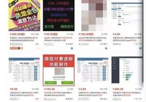图片[4]网创-网赚-电商-tk-出海-AI-抖音-快手-小红书-视频号-玩法-创业-小程序-公众号-私域-s粉捞偏门的灰色网赚项目：充值看小黄片，日入百万网创-网赚-电商-tk-出海-AI-抖音-快手-小红书-视频号-玩法-创业-小程序-公众号-私域-s粉网创智库