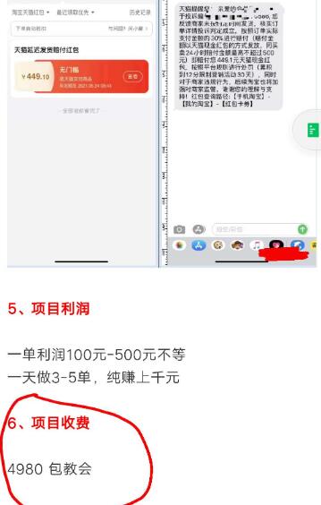 图片[5]网创-网赚-电商-tk-出海-AI-抖音-快手-小红书-视频号-玩法-创业-小程序-公众号-私域-s粉揭秘一个野路子赚钱项目，号称日入过万的暴利项目（勿操作）网创-网赚-电商-tk-出海-AI-抖音-快手-小红书-视频号-玩法-创业-小程序-公众号-私域-s粉网创智库