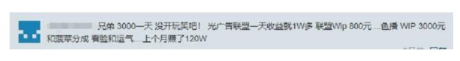 图片[2]网创-网赚-电商-tk-出海-AI-抖音-快手-小红书-视频号-玩法-创业-小程序-公众号-私域-s粉灰产揭秘-站长如何通过网站实现月入十万（勿操作）网创-网赚-电商-tk-出海-AI-抖音-快手-小红书-视频号-玩法-创业-小程序-公众号-私域-s粉网创智库
