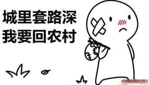 利用同城发布租房信息 日赚千元的灰色套路网创-网赚-电商-tk-出海-AI-抖音-快手-小红书-视频号-玩法-创业-小程序-公众号-私域-s粉网创智库