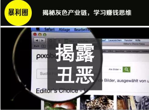 网赚圈套路小白成了一种风尚网创-网赚-电商-tk-出海-AI-抖音-快手-小红书-视频号-玩法-创业-小程序-公众号-私域-s粉网创智库