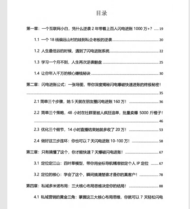 闪电进账网创-网赚-电商-tk-出海-AI-抖音-快手-小红书-视频号-玩法-创业-小程序-公众号-私域-s粉网创智库