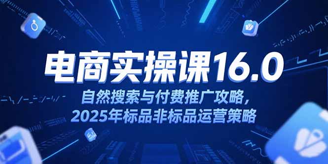 淘宝电商运营课16.0，自然搜索与付费推广攻略，2025年标品非标品运营策略网创-网赚-电商-tk-出海-AI-抖音-快手-小红书-视频号-玩法-创业-小程序-公众号-私域-s粉网创智库