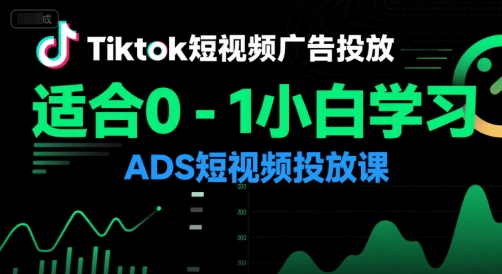 Tiktok短视频广告投放，适合0-1小白学习ADS短视频投放课网创-网赚-电商-tk-出海-AI-抖音-快手-小红书-视频号-玩法-创业-小程序-公众号-私域-s粉网创智库