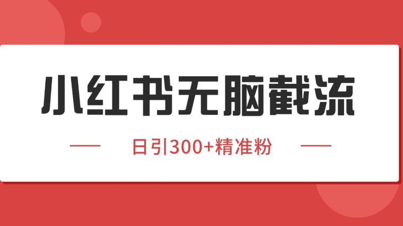 小红书截流同行客源，独家野路子获客玩法 日引200+暴力获客网创-网赚-电商-tk-出海-AI-抖音-快手-小红书-视频号-玩法-创业-小程序-公众号-私域-s粉网创智库