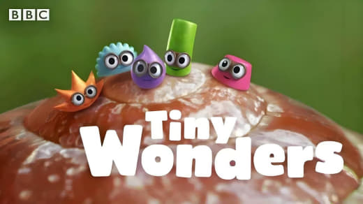 BBC少儿科普动画《小奇迹 Tiny Wonders》网创-网赚-电商-tk-出海-AI-抖音-快手-小红书-视频号-玩法-创业-小程序-公众号-私域-s粉网创智库