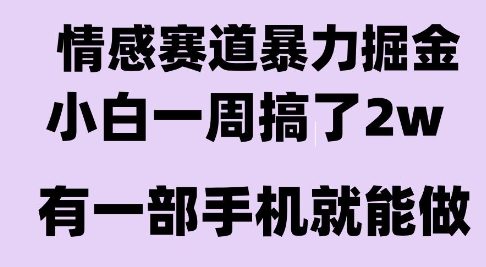 情感暴力掘金项目，新人操作一周挣了2W，长期稳定小白可做【揭秘】网创-网赚-电商-tk-出海-AI-抖音-快手-小红书-视频号-玩法-创业-小程序-公众号-私域-s粉网创智库