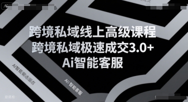 跨境私域线上高级课程，跨境私域极速成交3.0+Ai智能客服网创-网赚-电商-tk-出海-AI-抖音-快手-小红书-视频号-玩法-创业-小程序-公众号-私域-s粉网创智库
