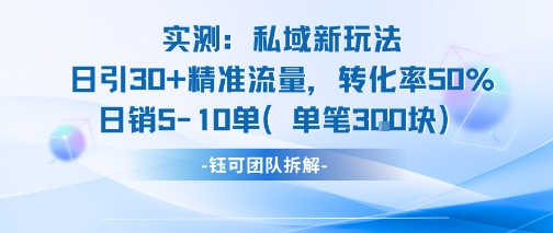 实测私域新玩法日引30加精准流量转化率50%日销5-10单每笔3张网创-网赚-电商-tk-出海-AI-抖音-快手-小红书-视频号-玩法-创业-小程序-公众号-私域-s粉网创智库