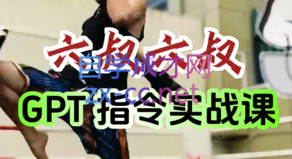 六叔的AI指令实战课(更新7月)网创-网赚-电商-tk-出海-AI-抖音-快手-小红书-视频号-玩法-创业-小程序-公众号-私域-s粉网创智库