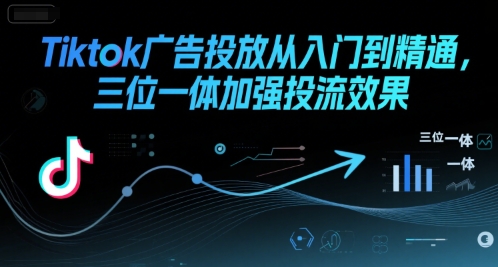 Tiktok广告投放从入门到精通，三位一体加强投流效果网创-网赚-电商-tk-出海-AI-抖音-快手-小红书-视频号-玩法-创业-小程序-公众号-私域-s粉网创智库