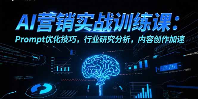 AI营销实战训练课：Prompt优化技巧，行业研究分析，内容创作加速网创-网赚-电商-tk-出海-AI-抖音-快手-小红书-视频号-玩法-创业-小程序-公众号-私域-s粉网创智库
