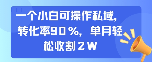 一个小白可操作私域，转化率90%，单月轻松收割2W网创-网赚-电商-tk-出海-AI-抖音-快手-小红书-视频号-玩法-创业-小程序-公众号-私域-s粉网创智库