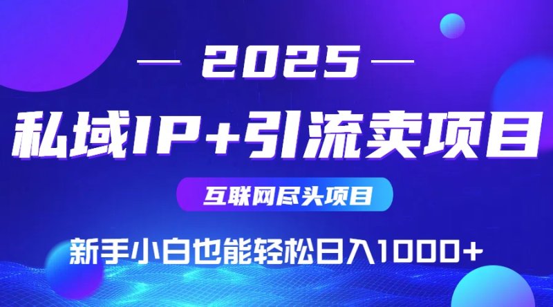2025网创尽头项目，私域IP+引流，新手小白也能在家日入1000+网创-网赚-电商-tk-出海-AI-抖音-快手-小红书-视频号-玩法-创业-小程序-公众号-私域-s粉网创智库