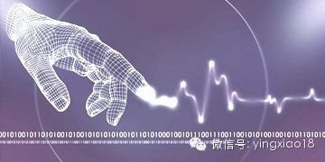 16.成功营销必须的5大方程式-实战干货【整理分享‖关注公众号 曲龙黑科技】 5 image 20250731162254 090462