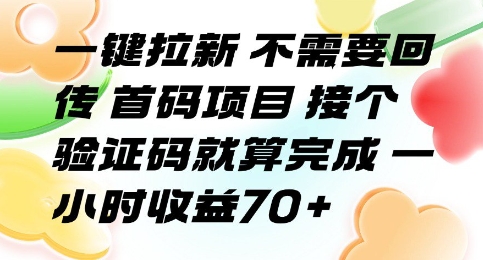 一键拉新 不需要回传 首码项目 接个验证码就算完成 一小时收益70+【揭秘】网创-网赚-电商-tk-出海-AI-抖音-快手-小红书-视频号-玩法-创业-小程序-公众号-私域-s粉网创智库