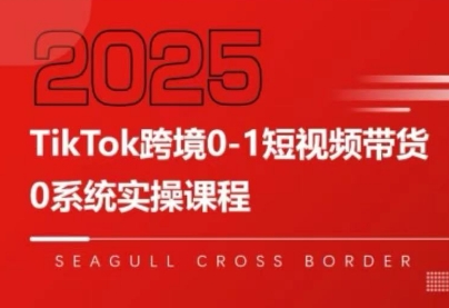 大亿老师·TikTok跨境0-1短视频带货网创-网赚-电商-tk-出海-AI-抖音-快手-小红书-视频号-玩法-创业-小程序-公众号-私域-s粉网创智库