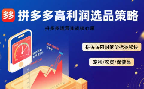 久号老师·拼多多选品暴利技术实战课网创-网赚-电商-tk-出海-AI-抖音-快手-小红书-视频号-玩法-创业-小程序-公众号-私域-s粉网创智库