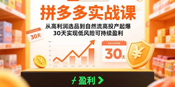 拼多多实战课：从高利润选品到自然流高投产起爆 30天实现低风险可持续盈利网创-网赚-电商-tk-出海-AI-抖音-快手-小红书-视频号-玩法-创业-小程序-公众号-私域-s粉网创智库
