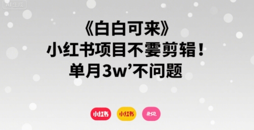 小白可来 小红书项目不需要剪辑 单月3w不是问题网创-网赚-电商-tk-出海-AI-抖音-快手-小红书-视频号-玩法-创业-小程序-公众号-私域-s粉网创智库