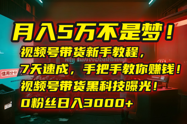 月入5万不是梦！视频号带货新手教程，7天速成，手把手教你赚钱！视频号…网创-网赚-电商-tk-出海-AI-抖音-快手-小红书-视频号-玩法-创业-小程序-公众号-私域-s粉网创智库