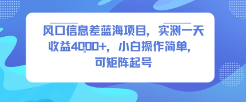 风口信息差蓝海项目，实测一天收益4k+，小白操作简单，可矩阵起号网创-网赚-电商-tk-出海-AI-抖音-快手-小红书-视频号-玩法-创业-小程序-公众号-私域-s粉网创智库