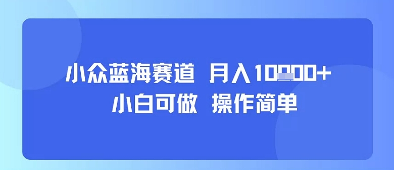 小众蓝海赛道，小白可做，操作简单，每天30分钟，月入1W+网创-网赚-电商-tk-出海-AI-抖音-快手-小红书-视频号-玩法-创业-小程序-公众号-私域-s粉网创智库