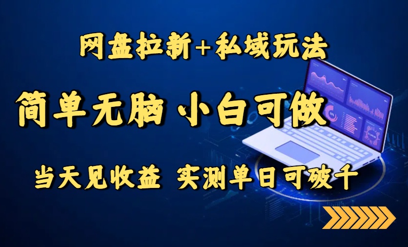 网盘拉新+私域玩法，简单无脑，小白可做，当天见收益，实测单日可破千 - 网创智库网创-网赚-电商-tk-出海-AI-抖音-快手-小红书-视频号-玩法-创业-小程序-公众号-私域-s粉网创智库
