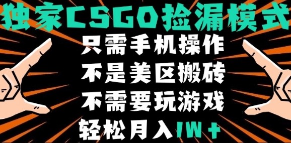 CSGO自动捡漏项目，最新独家玩法，不是美区搬砖，不需要了解和玩游戏，新手小白轻松月入1W+【揭秘】网创-网赚-电商-tk-出海-AI-抖音-快手-小红书-视频号-玩法-创业-小程序-公众号-私域-s粉网创智库