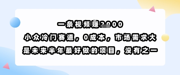 一条视频挣1k，小众冷门赛道，0成本，市场需求大，是未来半年最好做的项目，没有之一网创-网赚-电商-tk-出海-AI-抖音-快手-小红书-视频号-玩法-创业-小程序-公众号-私域-s粉网创智库