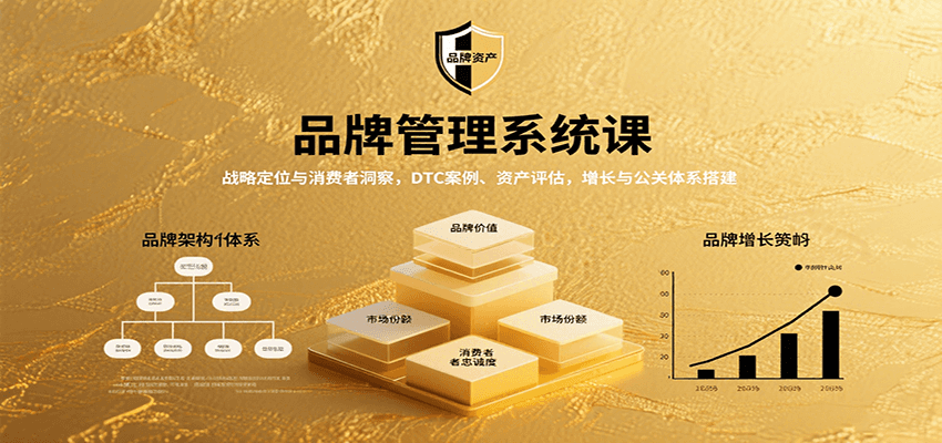 品牌管理系统课:战略定位与消费者洞察,DTC案例、资产评估,增长与公关体系搭建 - 网创智库网创-网赚-电商-tk-出海-AI-抖音-快手-小红书-视频号-玩法-创业-小程序-公众号-私域-s粉网创智库
