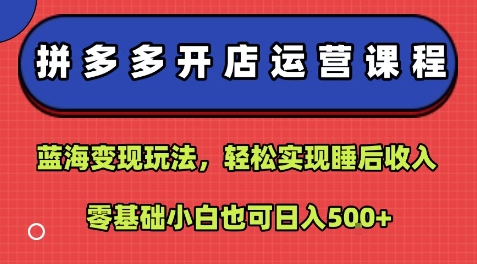 拼多多开店运营课程：蓝海变现玩法，轻松实现睡后收入，零基础小白也可日入5张网创-网赚-电商-tk-出海-AI-抖音-快手-小红书-视频号-玩法-创业-小程序-公众号-私域-s粉网创智库