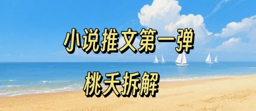 小说推文项目操作全流程第一弹，0粉就能做，门槛低非常适合新手网创-网赚-电商-tk-出海-AI-抖音-快手-小红书-视频号-玩法-创业-小程序-公众号-私域-s粉网创智库