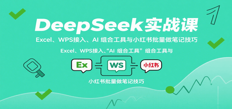 DeepSeek实战课：Excel、WPS接入、AI 组合工具与小红书批量做笔记技巧网创-网赚-电商-tk-出海-AI-抖音-快手-小红书-视频号-玩法-创业-小程序-公众号-私域-s粉网创智库