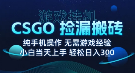 8月最新游戏搬砖，CSGO纯挂G，不需要玩游戏，实现真挂G，月入1W+【揭秘】网创-网赚-电商-tk-出海-AI-抖音-快手-小红书-视频号-玩法-创业-小程序-公众号-私域-s粉网创智库