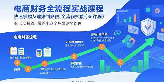 电商财务全流程实战课程：快速掌握从建账到报税的全流程技能(36节课网创-网赚-电商-tk-出海-AI-抖音-快手-小红书-视频号-玩法-创业-小程序-公众号-私域-s粉网创智库