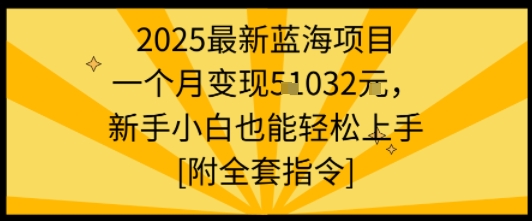 2025最新蓝海项目一个月变现1w+新手小白也能轻松上手【附全套指令】网创-网赚-电商-tk-出海-AI-抖音-快手-小红书-视频号-玩法-创业-小程序-公众号-私域-s粉网创智库