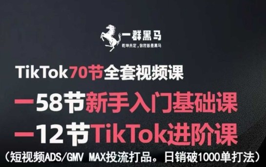 TikTok全套视频课，新手入门+进阶课，短视频ADS-GMV MAX投流打品，日销破1000单打法网创-网赚-电商-tk-出海-AI-抖音-快手-小红书-视频号-玩法-创业-小程序-公众号-私域-s粉网创智库