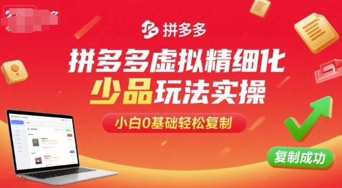 拼多多虚拟精细化少品玩法实操，小白0基础轻松复制网创-网赚-电商-tk-出海-AI-抖音-快手-小红书-视频号-玩法-创业-小程序-公众号-私域-s粉网创智库