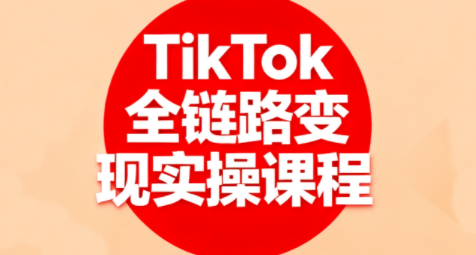 小杨老师·TikTok全链路变现实操课程网创-网赚-电商-tk-出海-AI-抖音-快手-小红书-视频号-玩法-创业-小程序-公众号-私域-s粉网创智库
