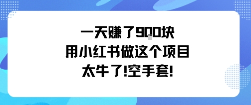 一天挣了9张用小红书做这个项目太牛了，空手套网创-网赚-电商-tk-出海-AI-抖音-快手-小红书-视频号-玩法-创业-小程序-公众号-私域-s粉网创智库